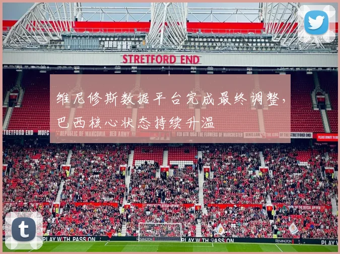 维尼修斯数据平台完成最终调整，巴西核心状态持续升温