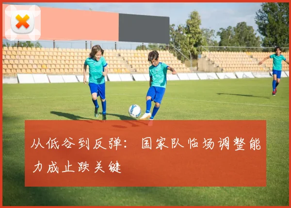 从低谷到反弹：国家队临场调整能力成止跌关键