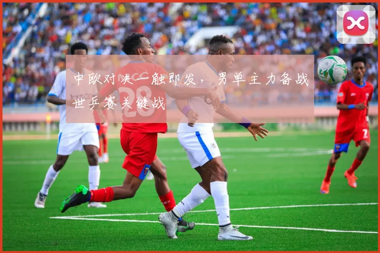 中欧对决一触即发，男单主力备战世乒赛关键战