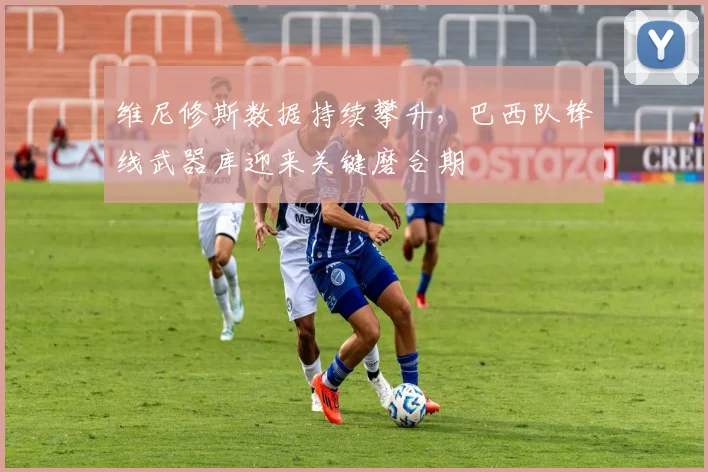 维尼修斯数据持续攀升，巴西队锋线武器库迎来关键磨合期
